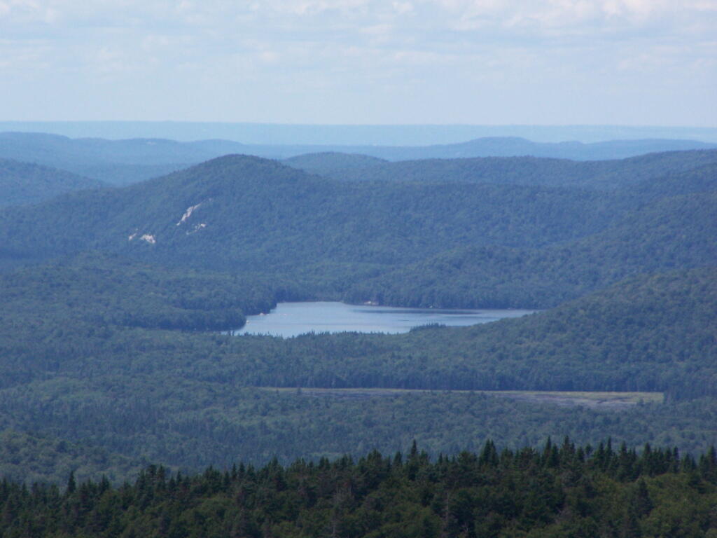 Photo: Beaver Lake