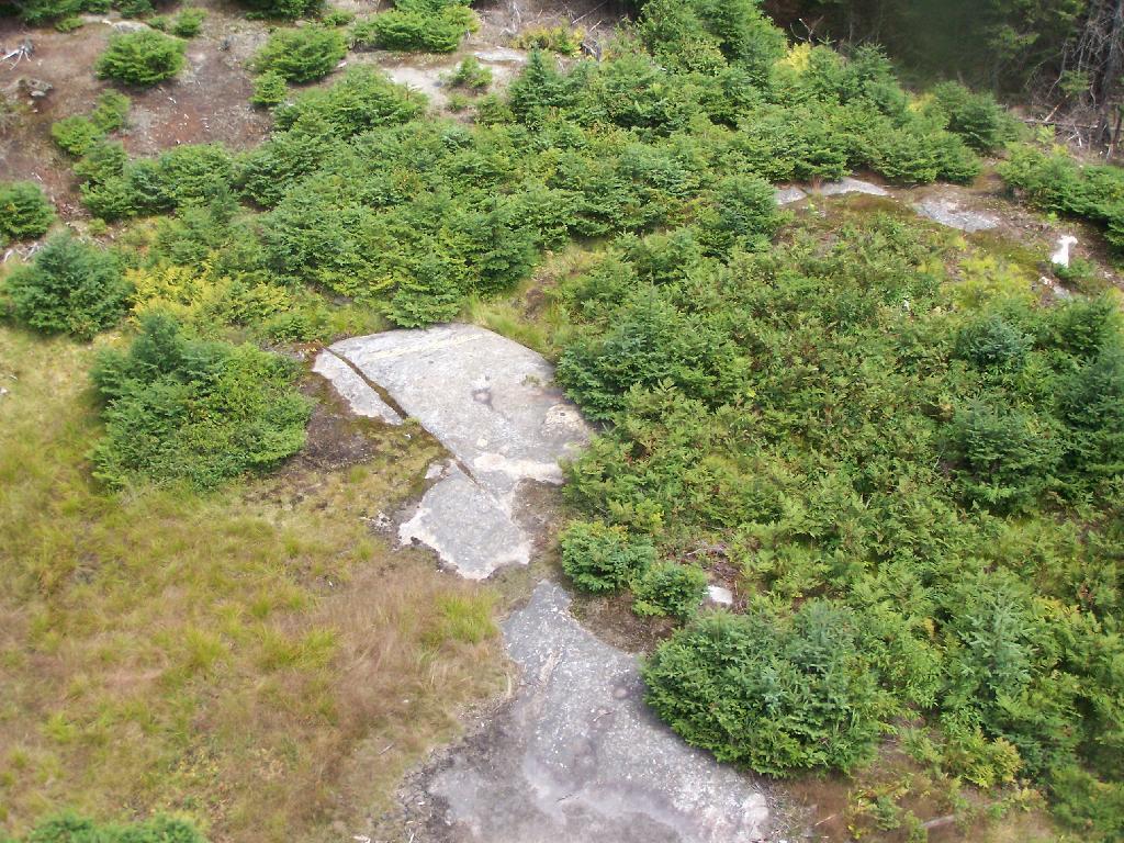 Photo: Helipad Clearing Photo: Helipad Clearing