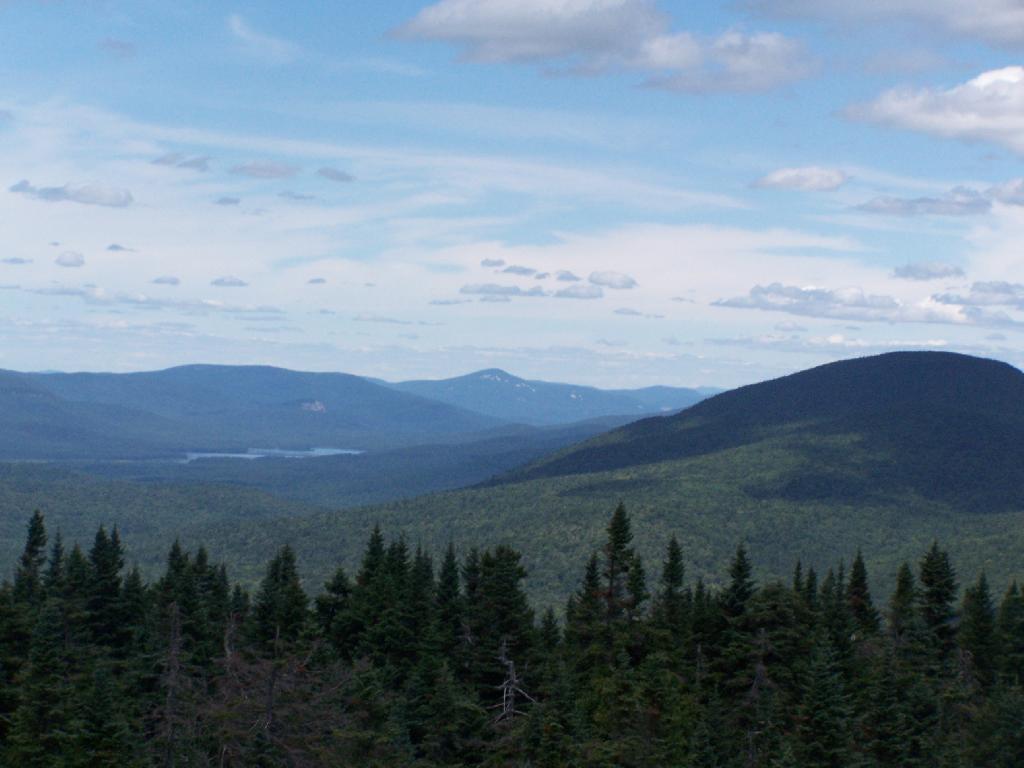 Photo: Towards Cedar River Flow