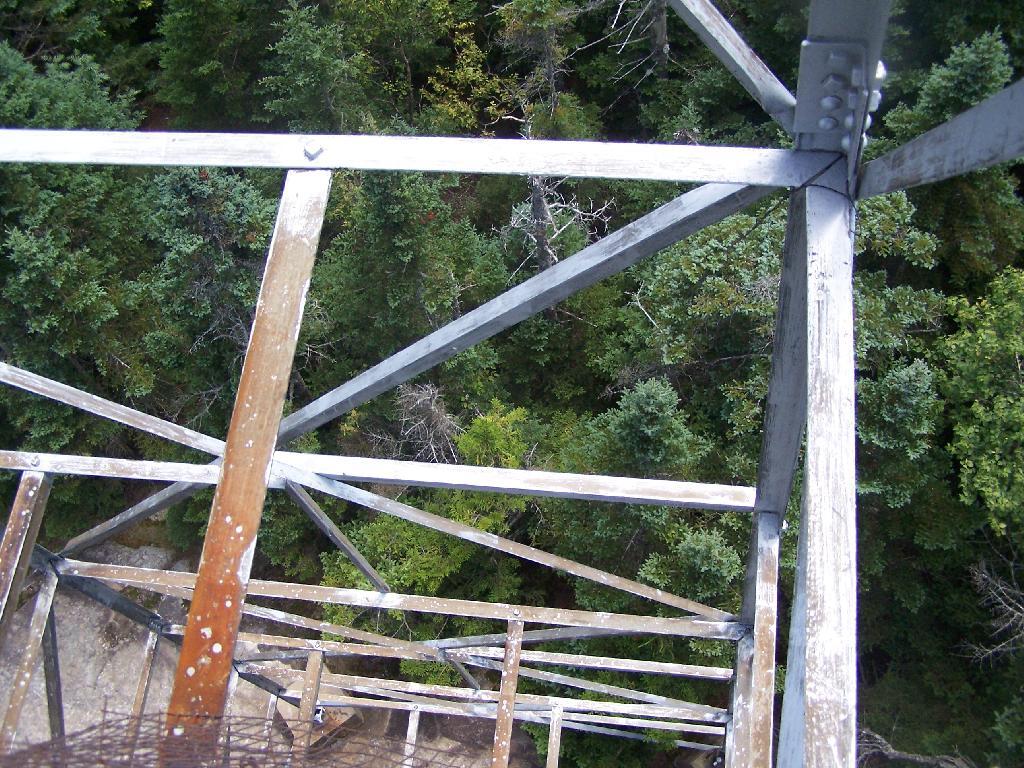 Photo: Trusses