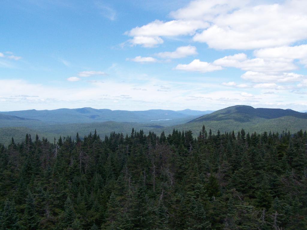 Photo: North