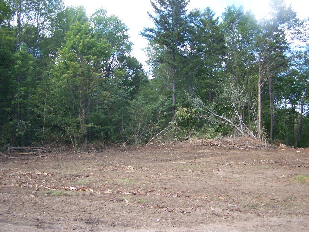 Photo: Log Loading Site Photo: Log Loading Site