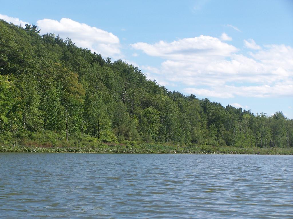 Photo: Edge of Lawsons Lake