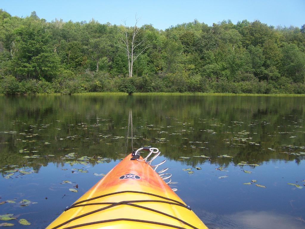 Photo: Open Water on Tubbs Pond Photo: Open Water on Tubbs Pond