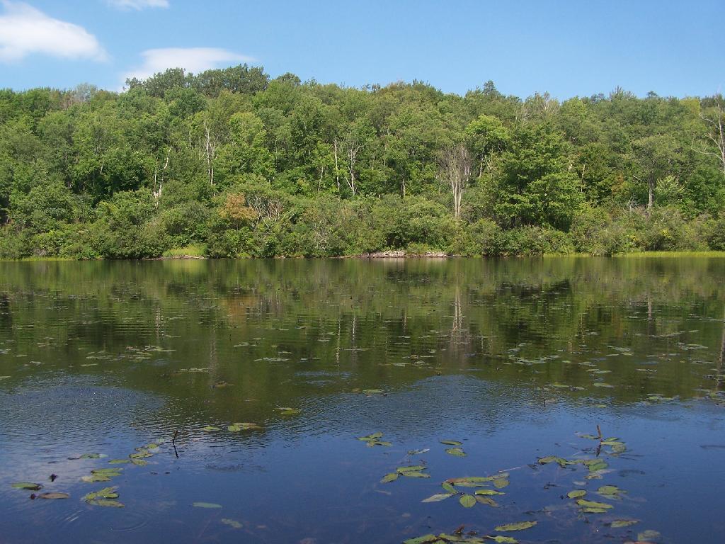 Photo: Tubbs Pond Photo: Tubbs Pond