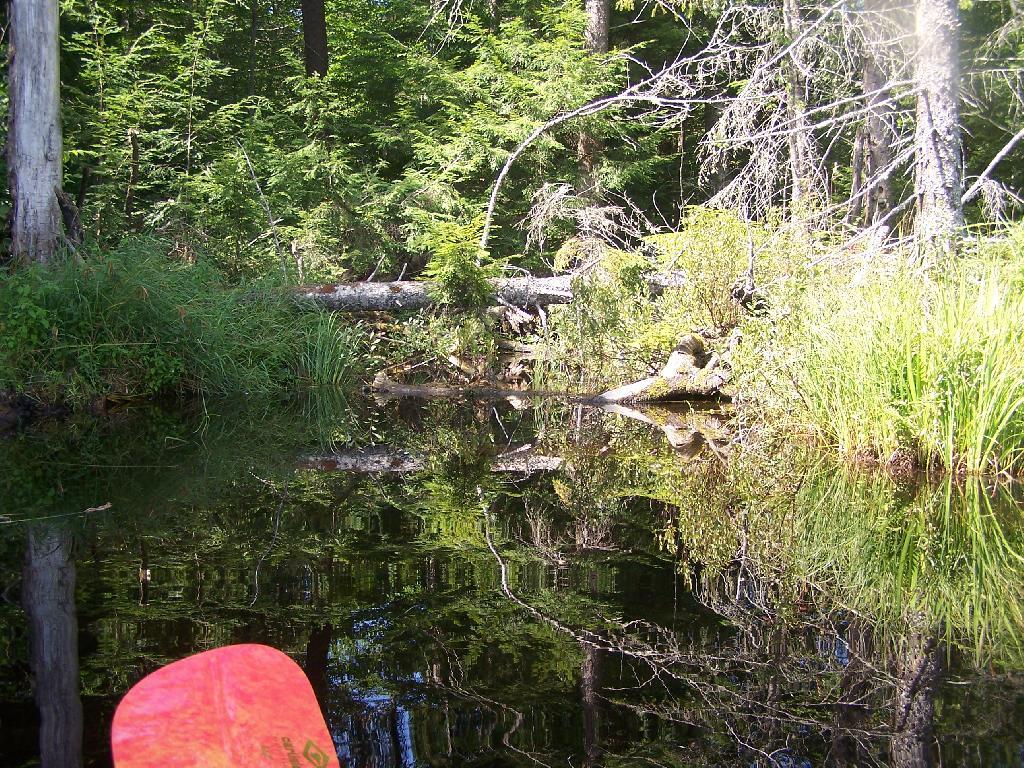 Photo: Stream Exiting Mason Lake