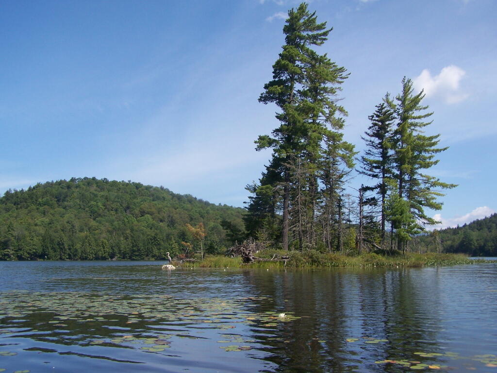 Photo: Another Island on Mason Lake