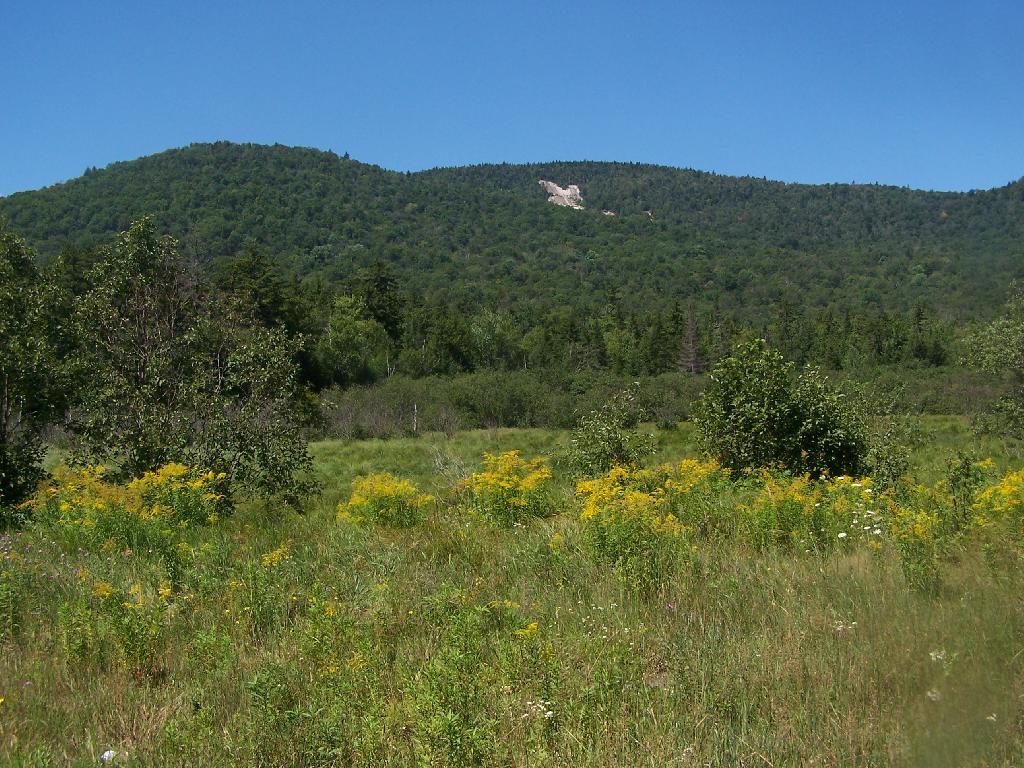 Photo: Blue Ridge