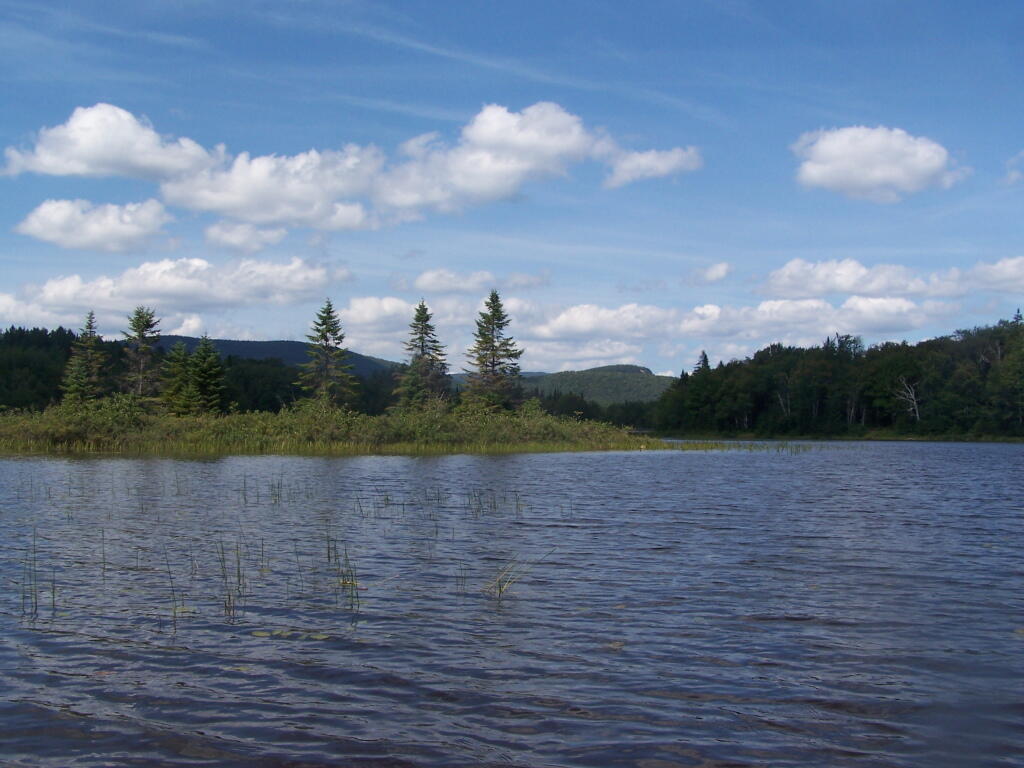 Photo: Hook Near Payne Brook