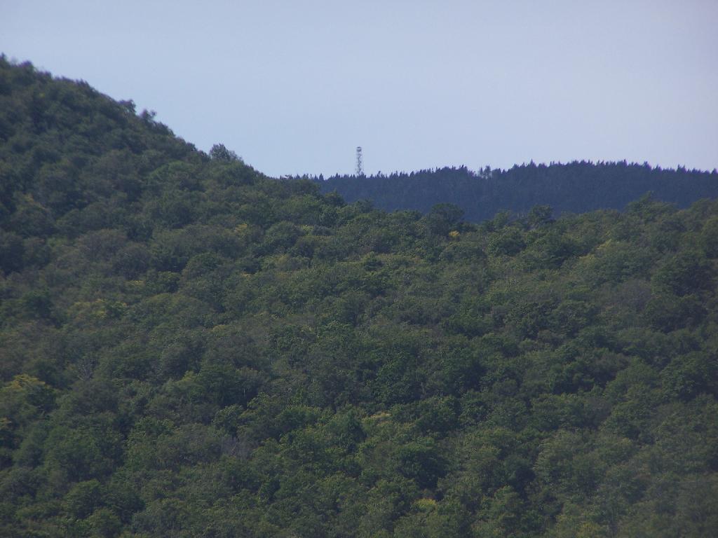 Photo: Wakely Fire Tower
