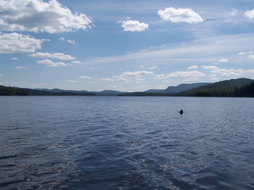 Photo: South Over Cedar River Flow