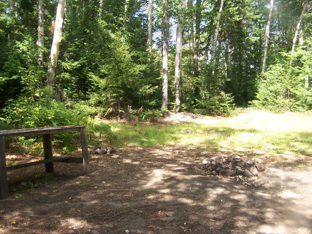 Photo: Campsite on Cedar River Flow