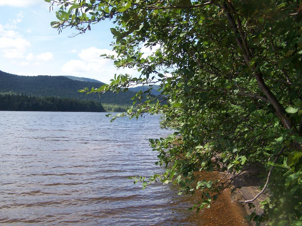 Photo: Edge of Cedar River Flow