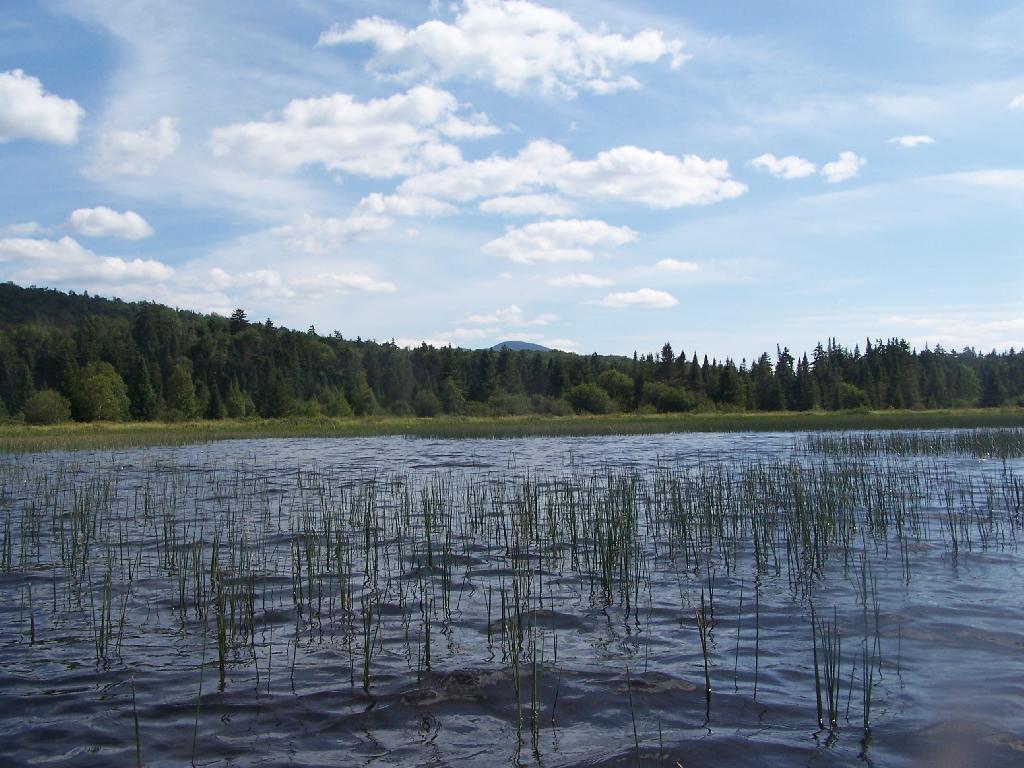 Photo: Marshy Flow and Pillsbury Mountain