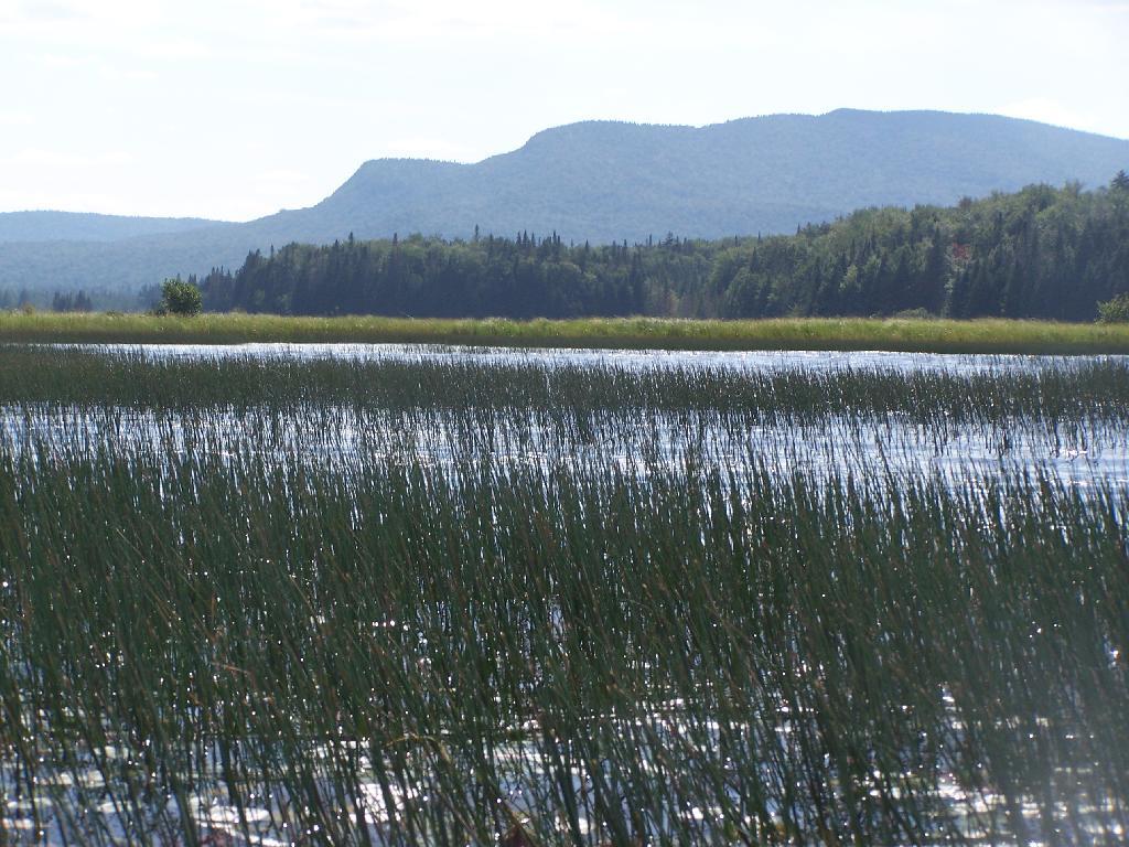 Photo: Sturges Hills and Wilson Ridge
