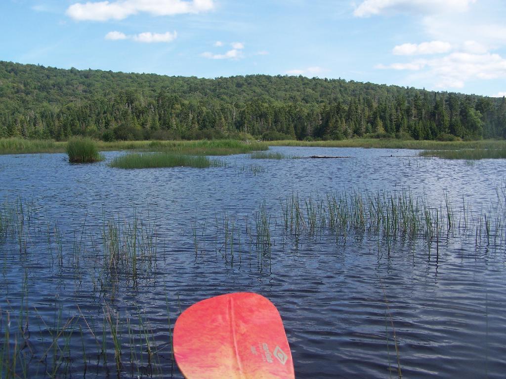 Photo: Tougher Paddling
