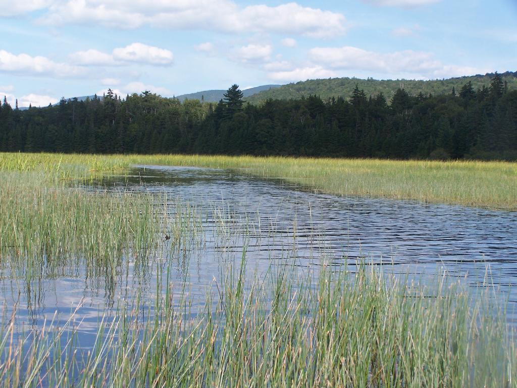 Photo: End of Cedar River Flow