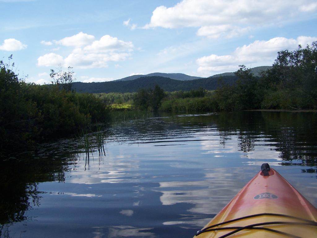 Photo: Paddling Thru Cedar River