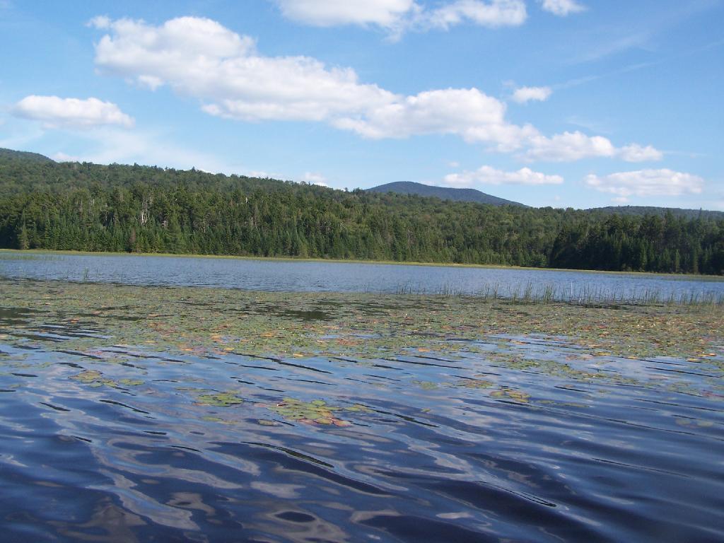 Photo: South Across Cedar River Flow