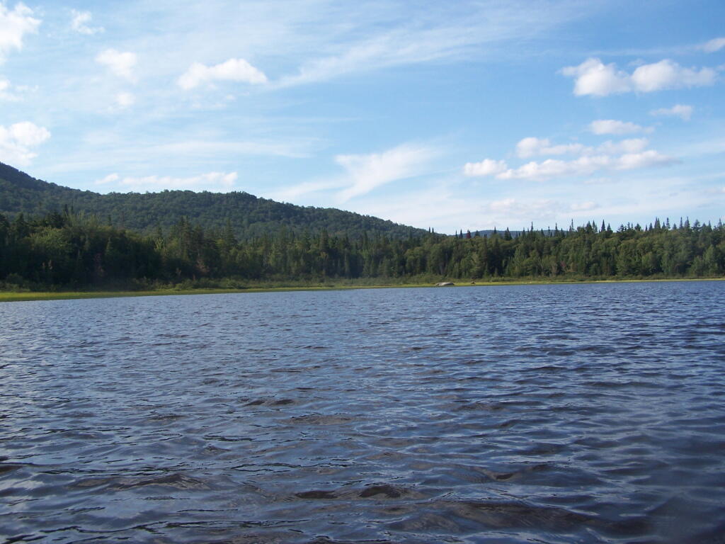 Photo: Shoreline Near Payne Brook Photo: Shoreline Near Payne Brook
