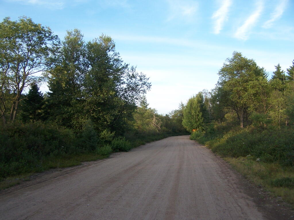 Photo: Moose River Plains Road Photo: Moose River Plains Road