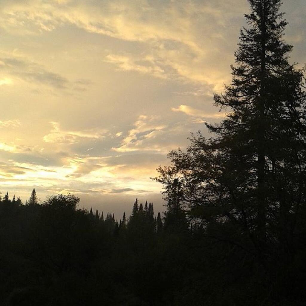 Photo: Friday night after the rain