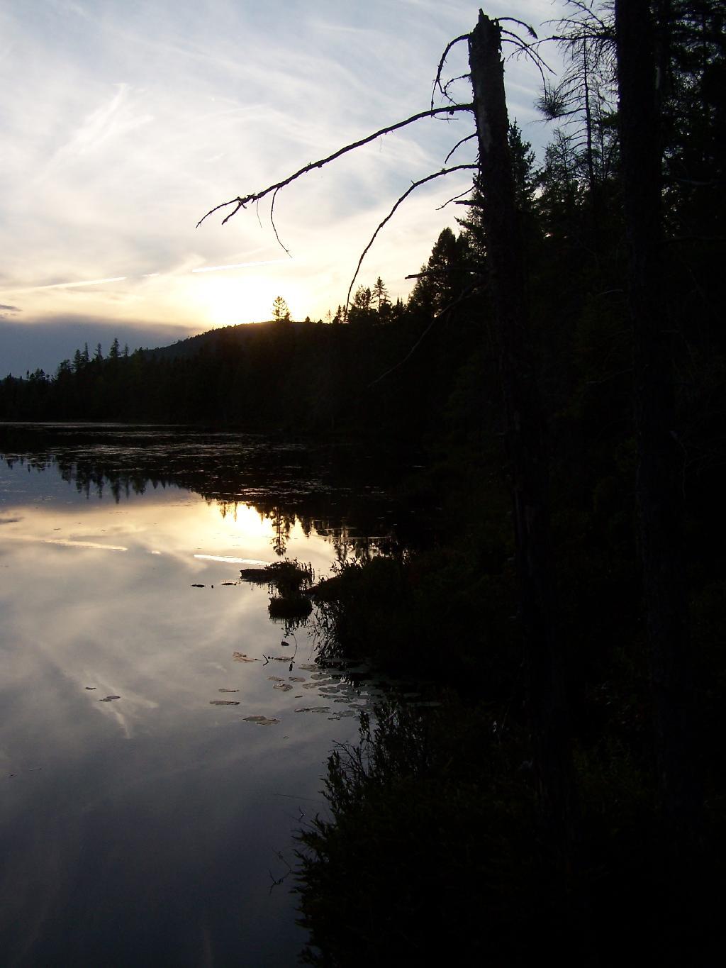 Photo: Goodnight Mr Sun Photo: Goodnight Mr Sun