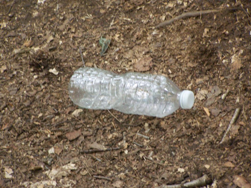 Photo: Plastic Bottle Litter Photo: Plastic Bottle Litter