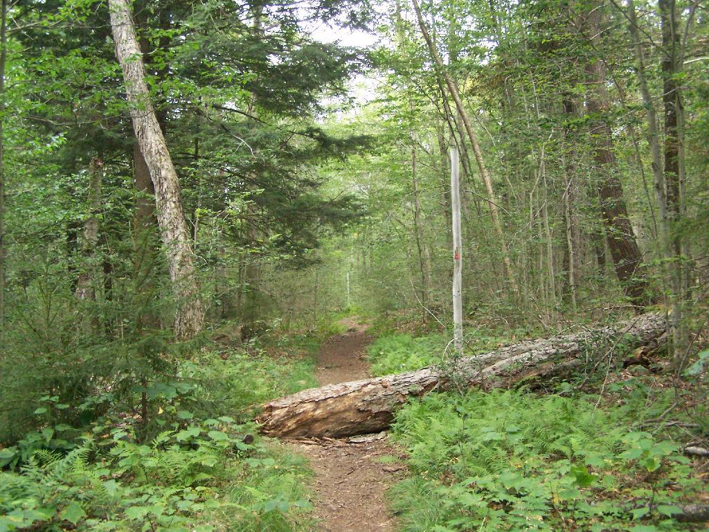 Photo: 1/2 Mile In