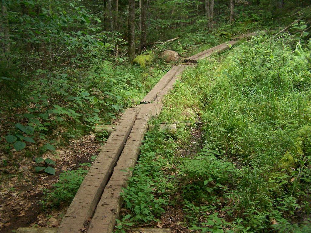 Photo: Boardwalks Photo: Boardwalks