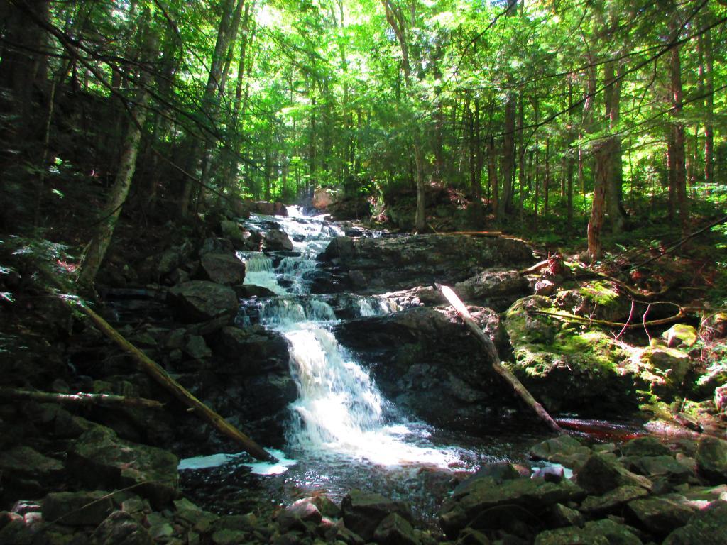 Photo: North Creek Falls Photo: North Creek Falls