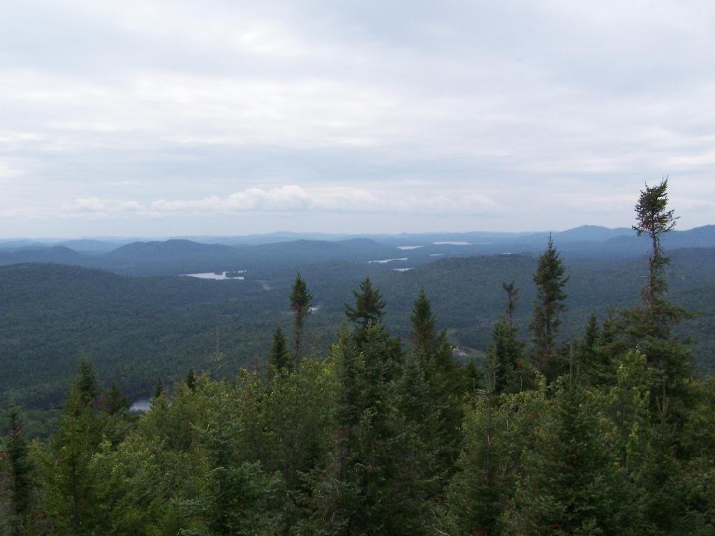 Photo: Sargent Ponds Area & Timberland Photo: Sargent Ponds Area & Timberland