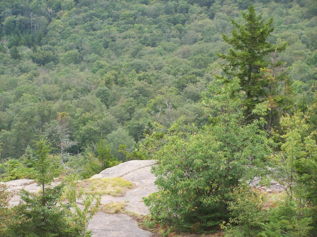 Photo: Edge of Owls Head Photo: Edge of Owls Head