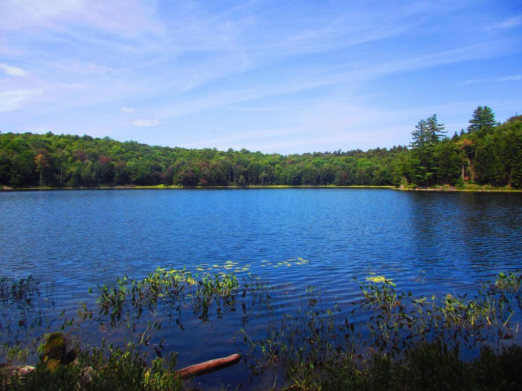 Photo: Dexter Lake Photo: Dexter Lake