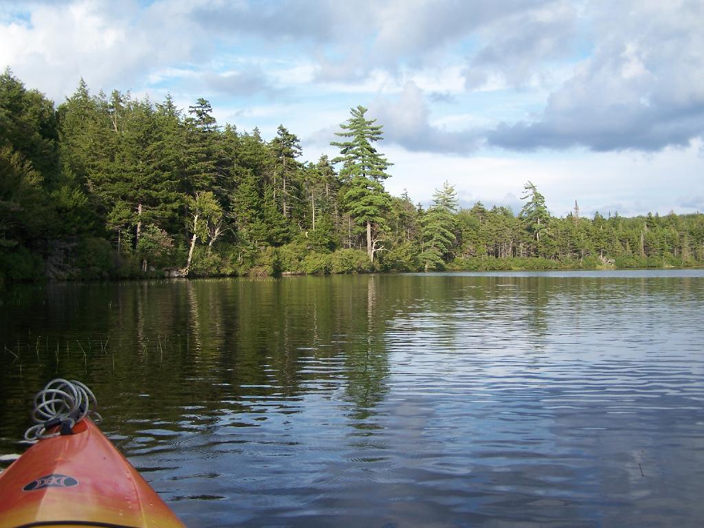 Photo: Northeast Tip Photo: Northeast Tip