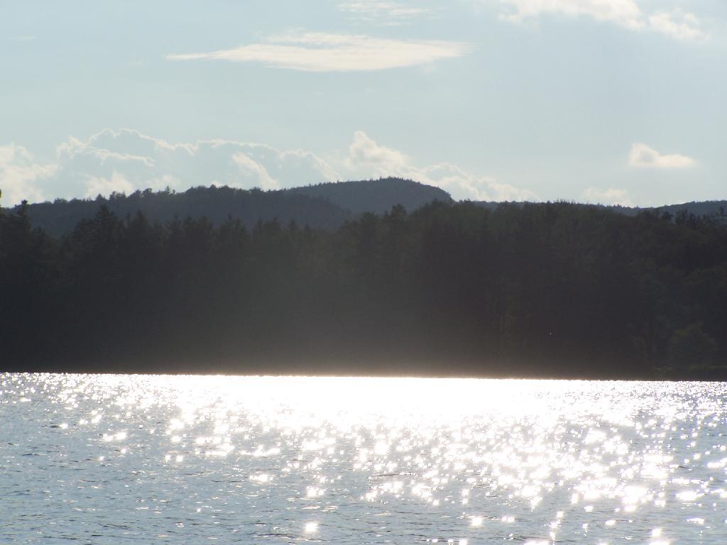 Photo: Glare Photo: Glare