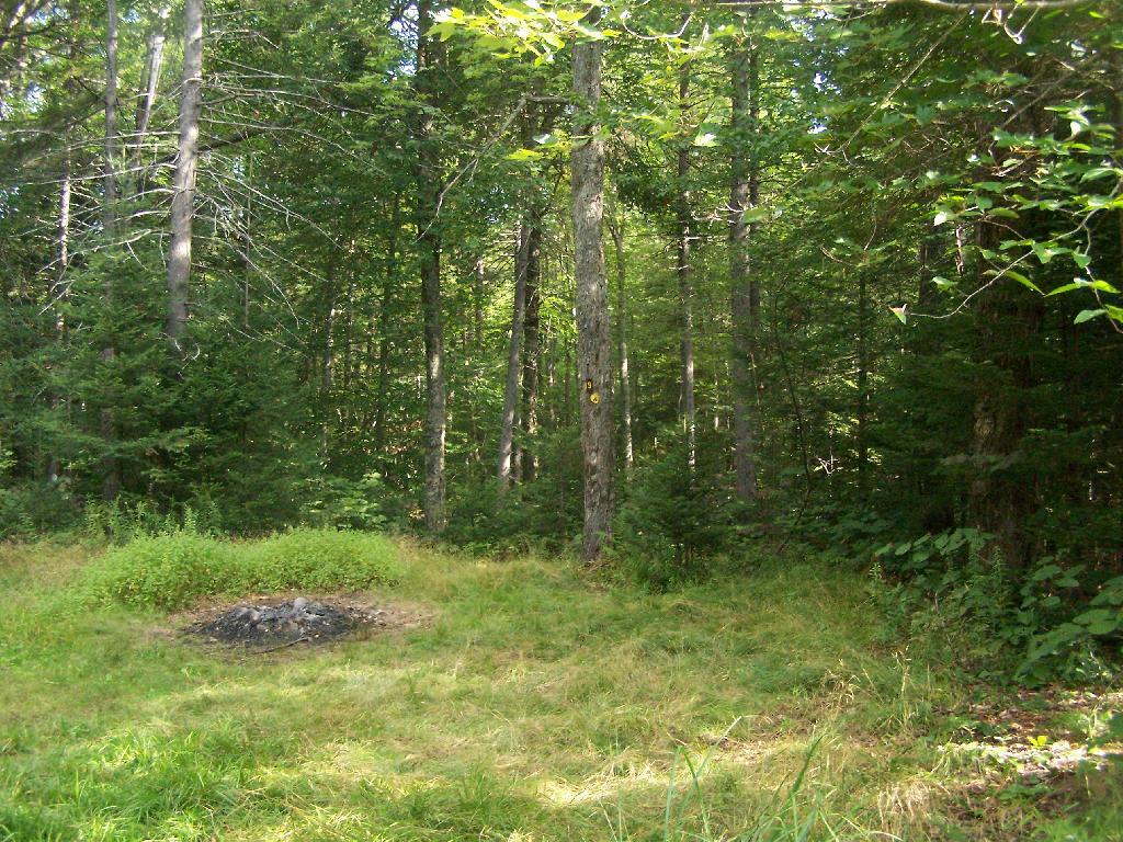 Photo: Not Fancy Campsite