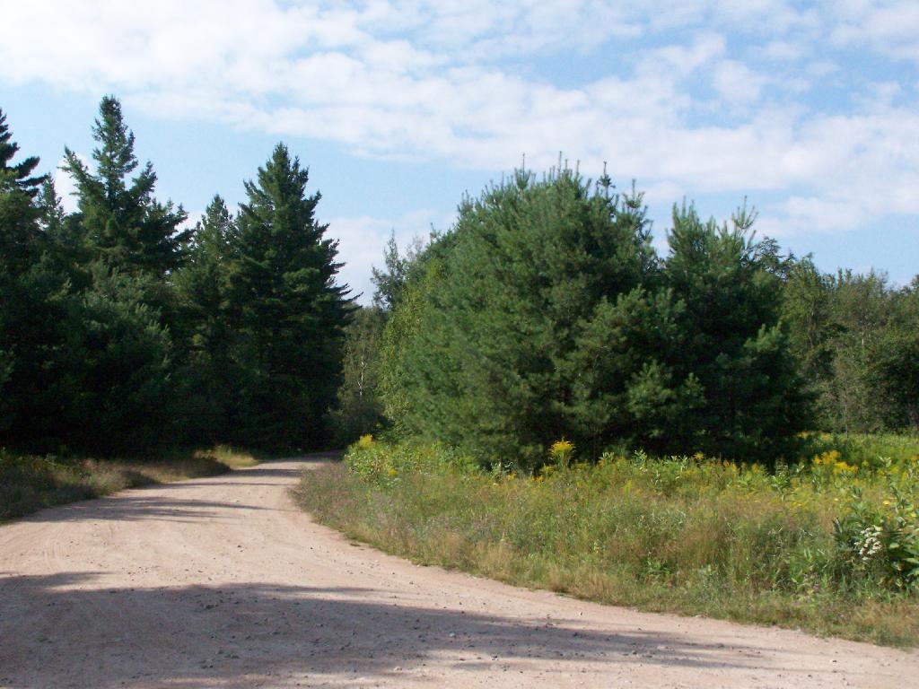 Photo: Gravel Road