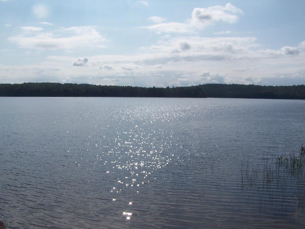 Photo: Horseshoe Lake in Morning