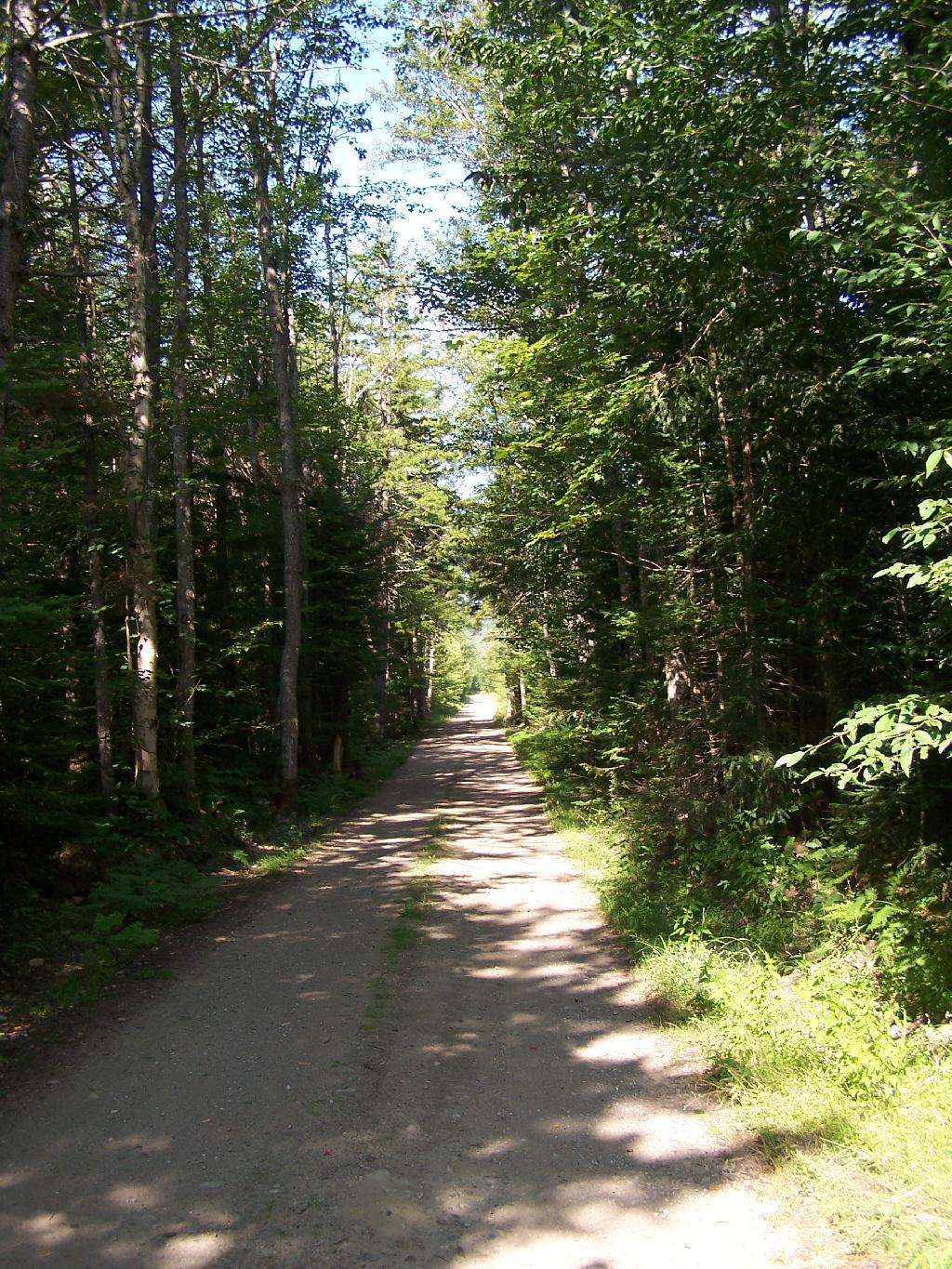 Photo: Unnamed Dirt Road