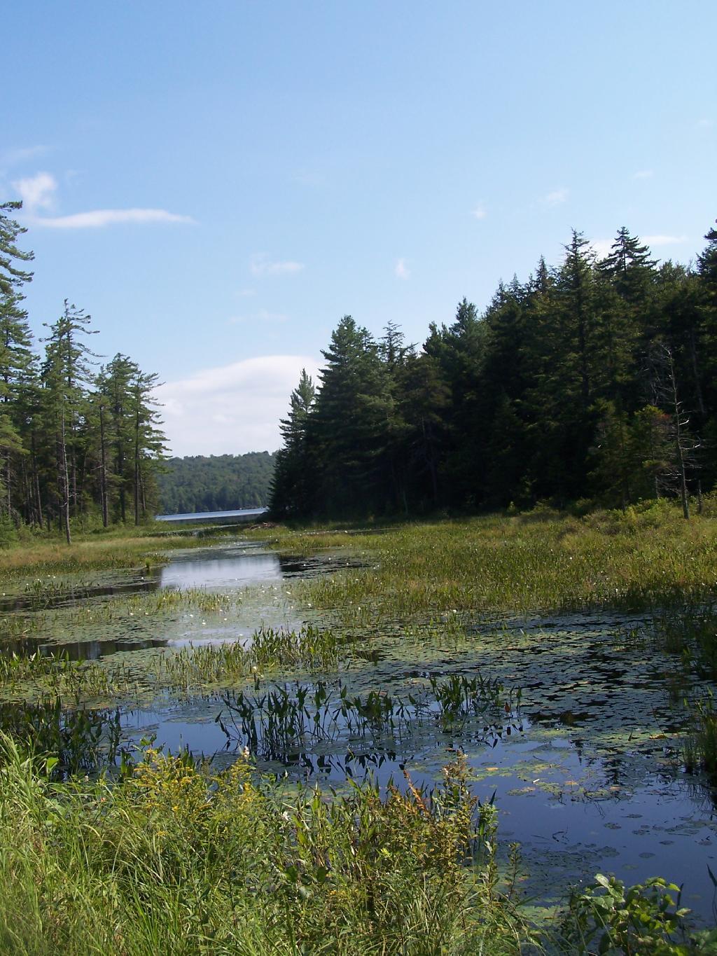 Photo: Outlet to Horseshoe Lake