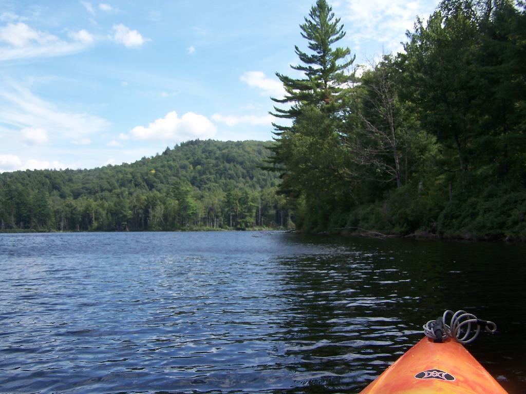 Photo: Paddling Photo: Paddling