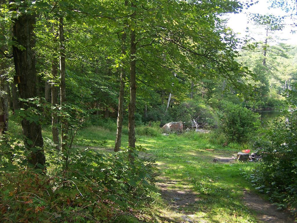Photo: Campsite No 1 Photo: Campsite No 1