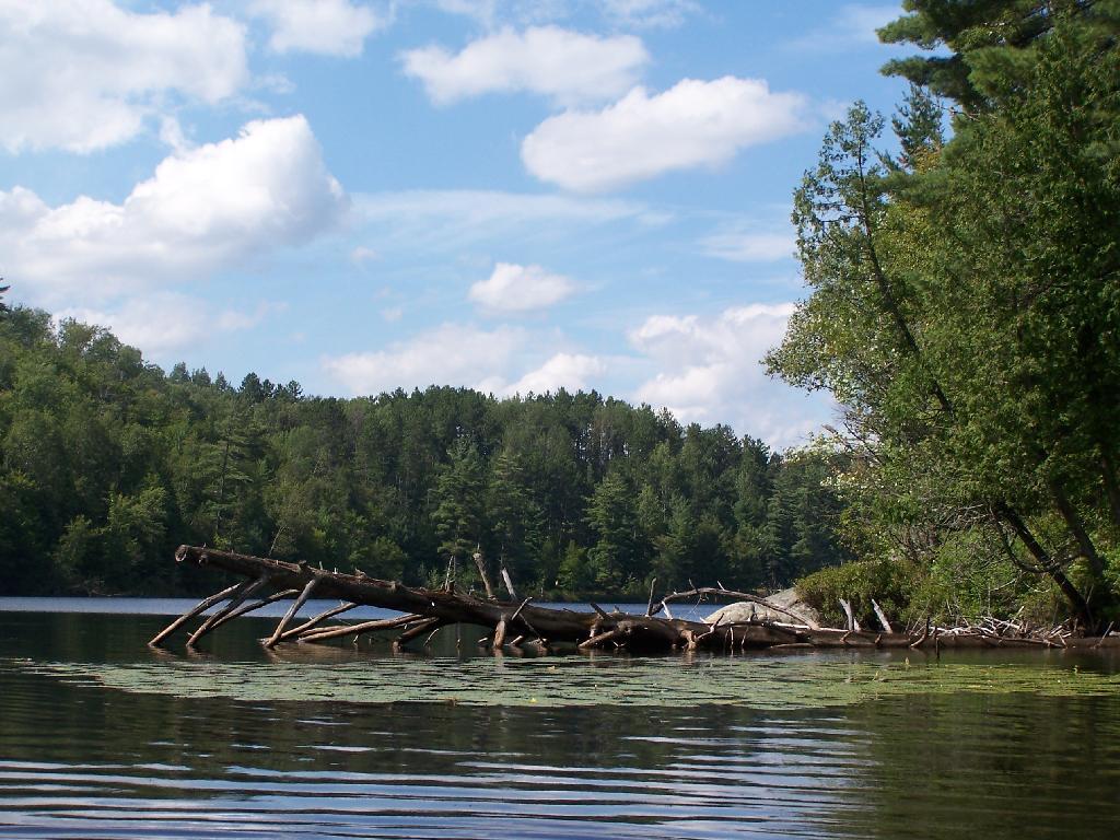 Photo: Central Part of Lake Photo: Central Part of Lake