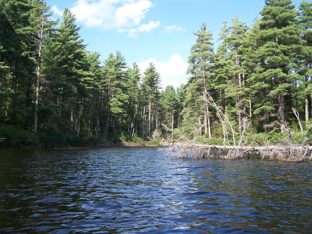 Photo: Northeastern Bay Photo: Northeastern Bay