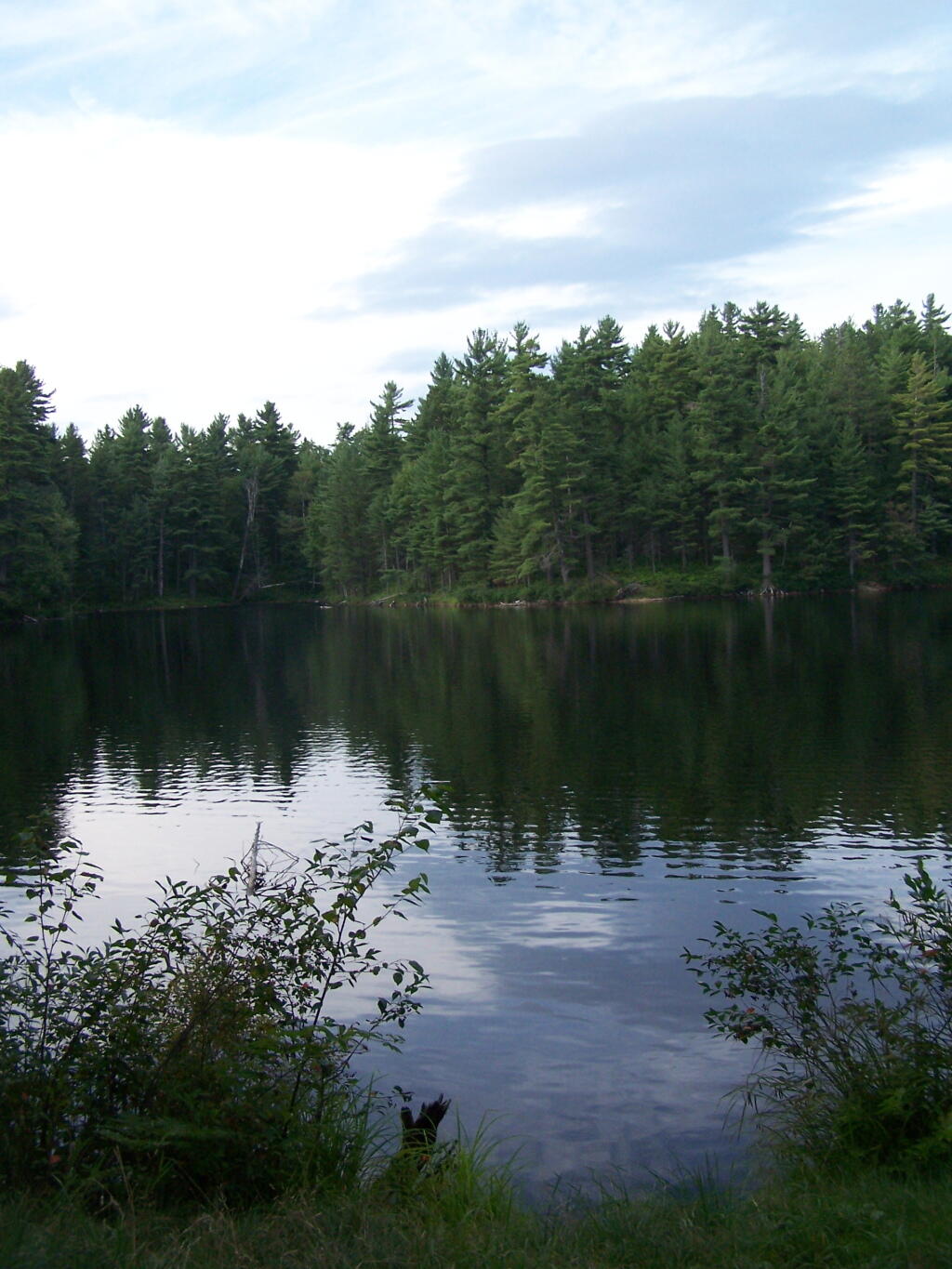 Photo: Mountain Pond in the Evening Photo: Mountain Pond in the Evening