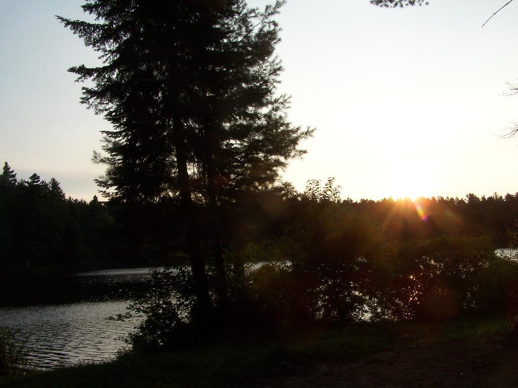 Photo: First Rays of Sunshine Photo: First Rays of Sunshine