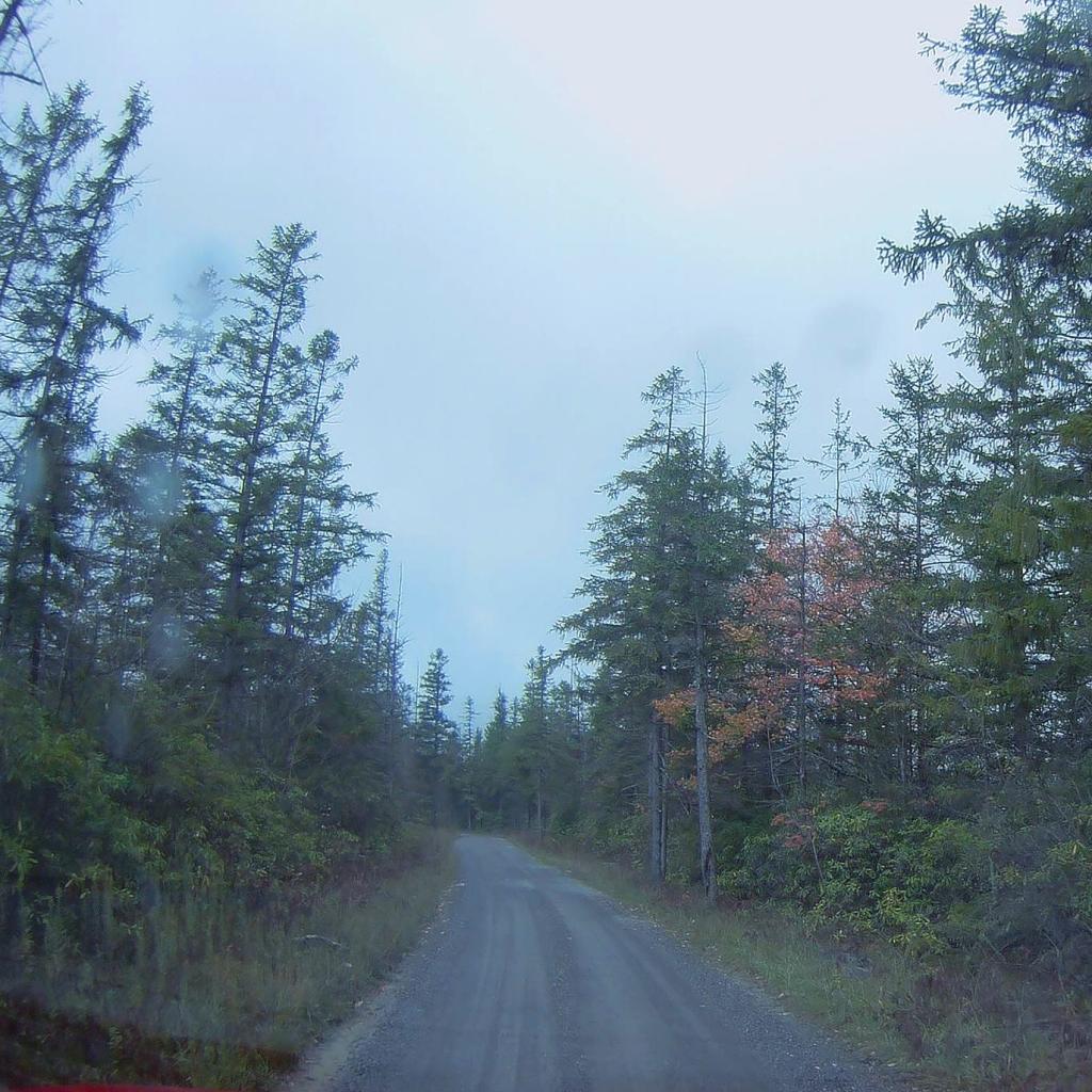 Photo: Rainy Day in Canaan Heights