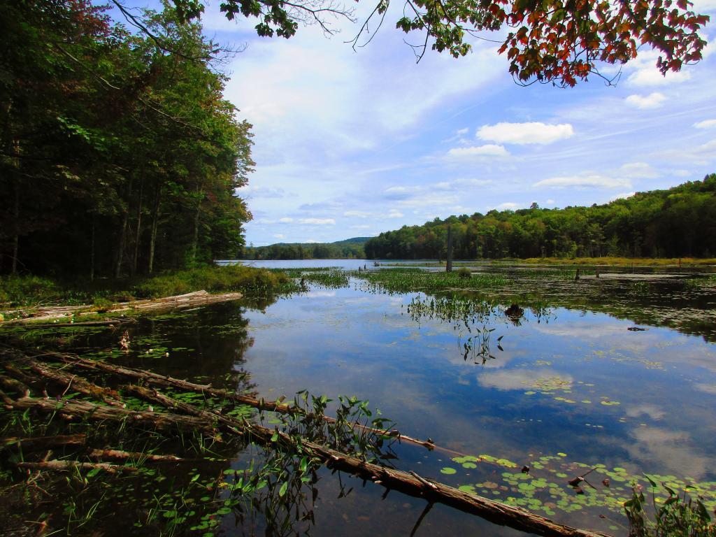 Photo: Spectacle Lake