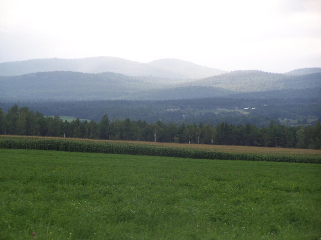 Photo: West from Union Road Photo: West from Union Road